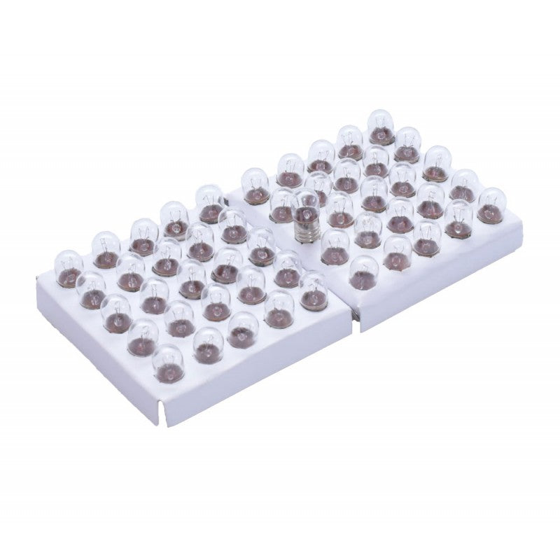 Lantern Bulb with Screw Base 24V - 50 pcs/box