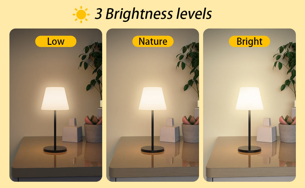 Table Lamp, Solar and USB-C Charging, RGBW Multicolor Light, Remote Control, ClassLights