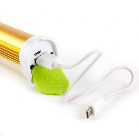 Rechargeable White and Red LED Flashlight with 2 Switches