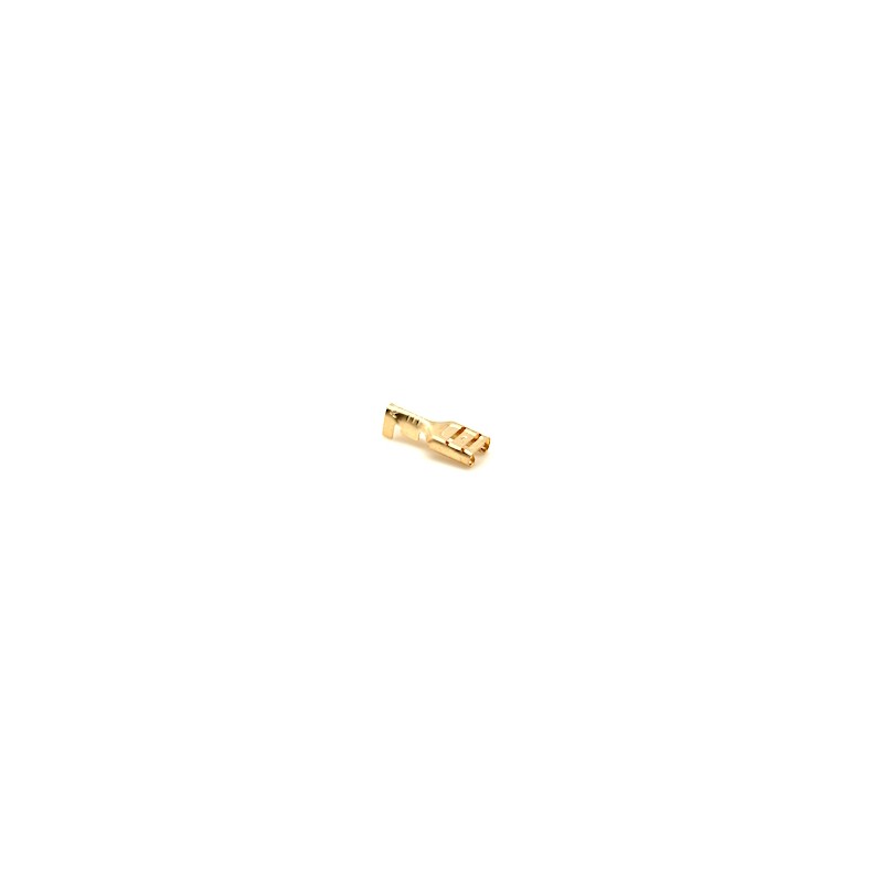 Female Spade Terminal 6.3MM 100PCS/Bag