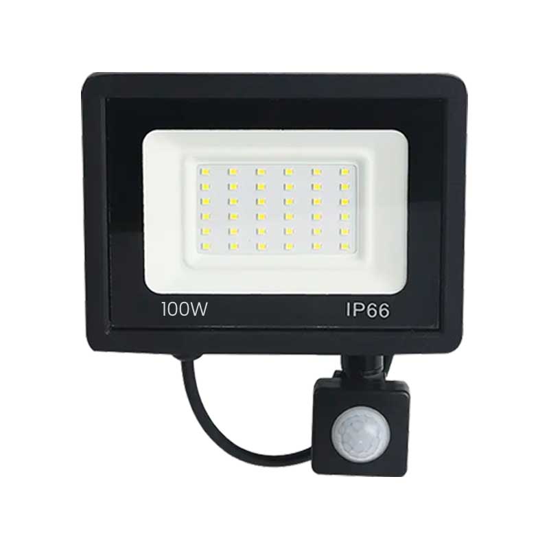 LED Projector with IP66 Sensor, 220V Power 100W, ElectroAZ