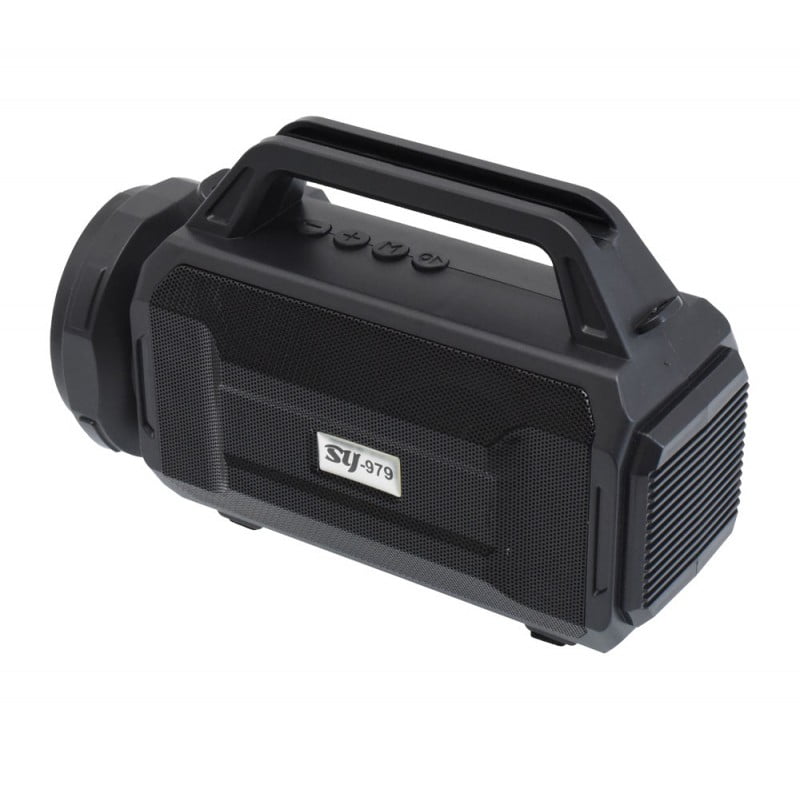 FM Radio with Flashlight and Solar Panel SY-979
