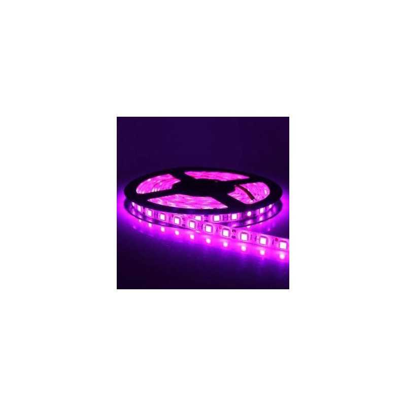 12V LED Strip, Purple Light, 120 LED/m, IP20, 5 Meter Roll, ClassLights