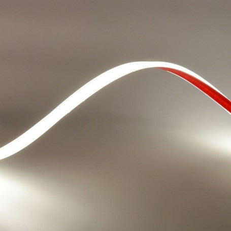 LED Strip 320 Cob - 24V - 10mm Cool White 6500K, IP65 Outdoor - Roll/10m