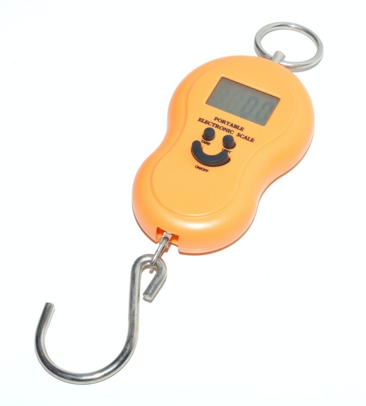 Digital Scale 40 Kg with Light YJ-601