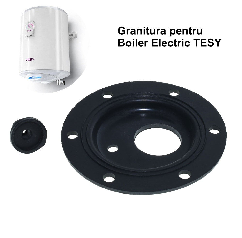 Tesy/Bosch Boiler Gasket