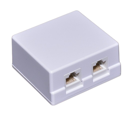 Double UTP Outlet 2 x 8P8C/CAT5