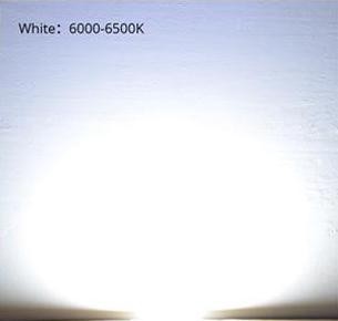 28mm COB LED - Warm/Cool Light