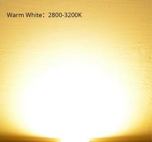 LED COB 28mm - 5W, Warm/Cool Light