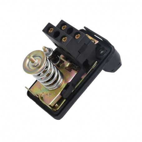 Water Pump Pressure Switch with Swivel Nut