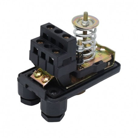 Water Pump Pressure Switch with Swivel Nut