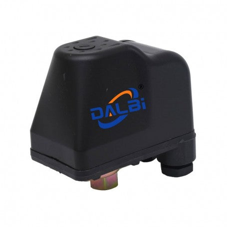 Water Pump Pressure Switch with Swivel Nut