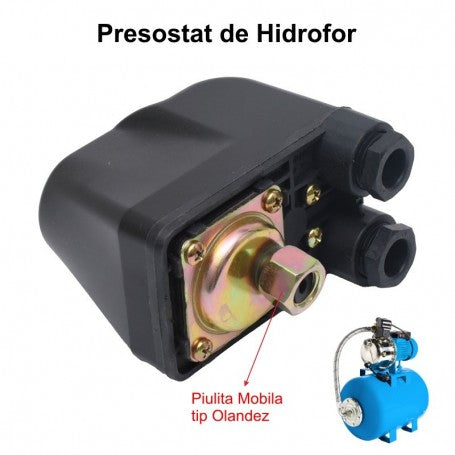Water Pump Pressure Switch with Swivel Nut