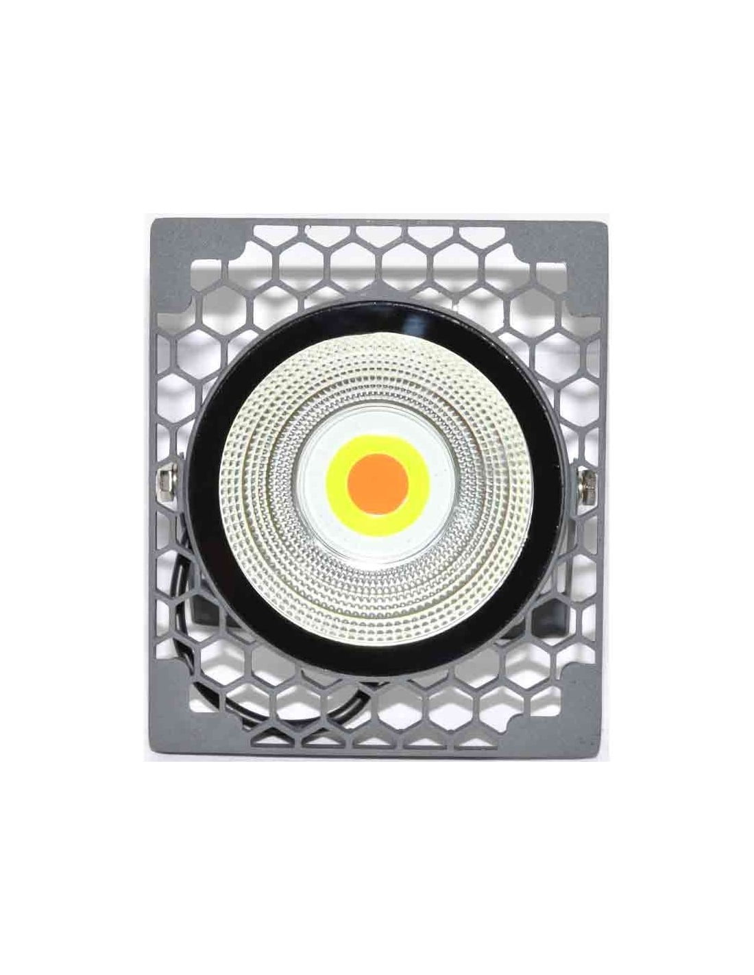 Multicolor LED RGB Floodlight 50W-220V