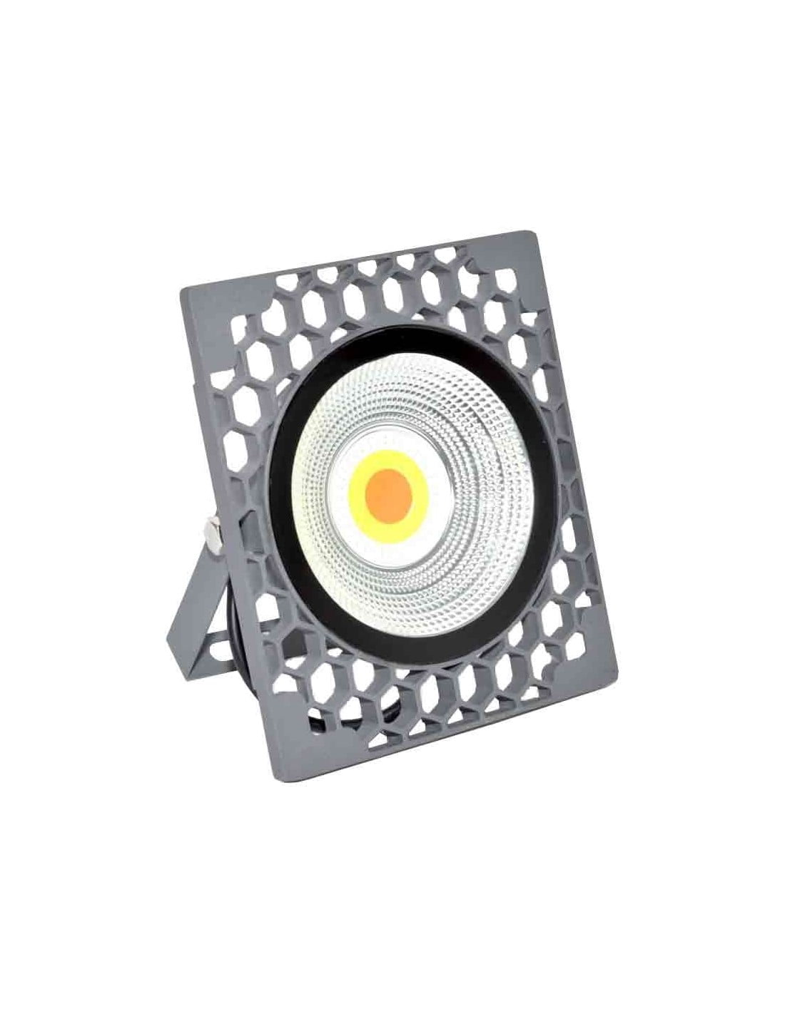 Multicolor LED RGB Floodlight 50W-220V