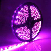 12V LED Strip, Purple Light, 120 LED/m, IP20, 5 Meter Roll, ClassLights