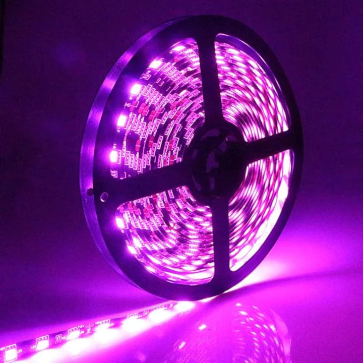 12V LED Strip, Purple Light, 120 LED/m, IP20, 5 Meter Roll, ClassLights