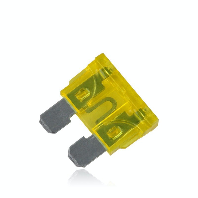Automotive Fuse 20A, 100pcs/set