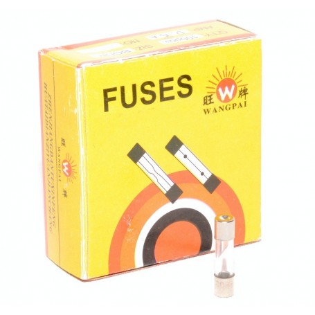 Fast Glass Fuse 2.5A/5x20mm - 100 pcs